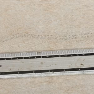 Koeienhuid kleed lichtbruin 200x200 cm. (litteken) - Afbeelding 2