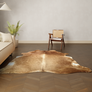 Interior image for brmidrand