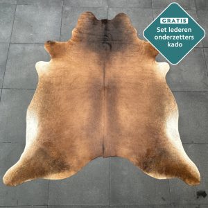 cognac donkere koehuid