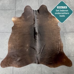 kleine donkerbruin koevel